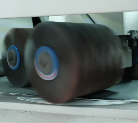 Роликовая щетка для ротационной головки зачистного станка Ф300х400 про-во Германия 250.132.66